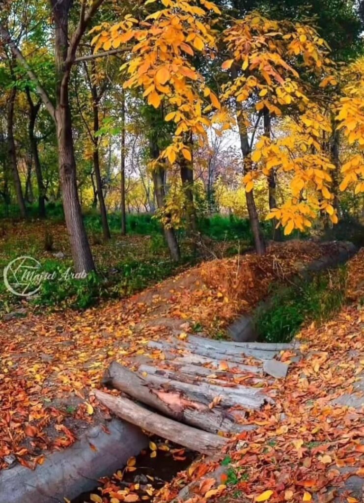 زیباترین شهر ایران در پاییز