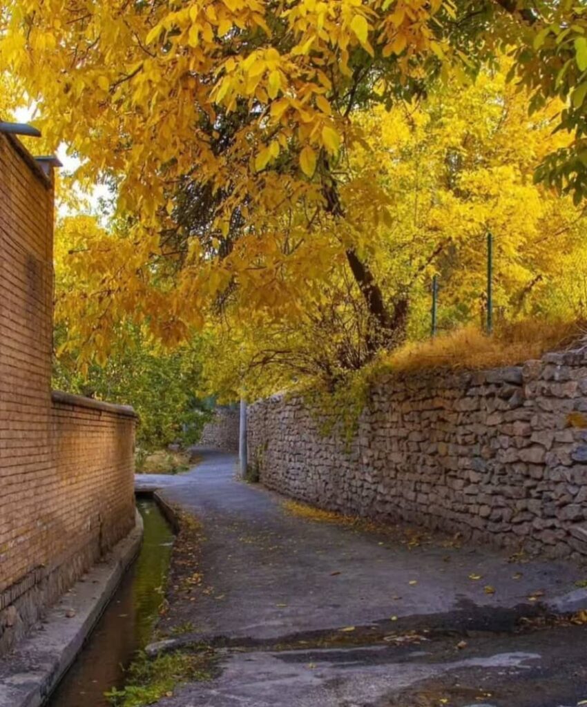 پاییز زیبای فاروق-استان فارس