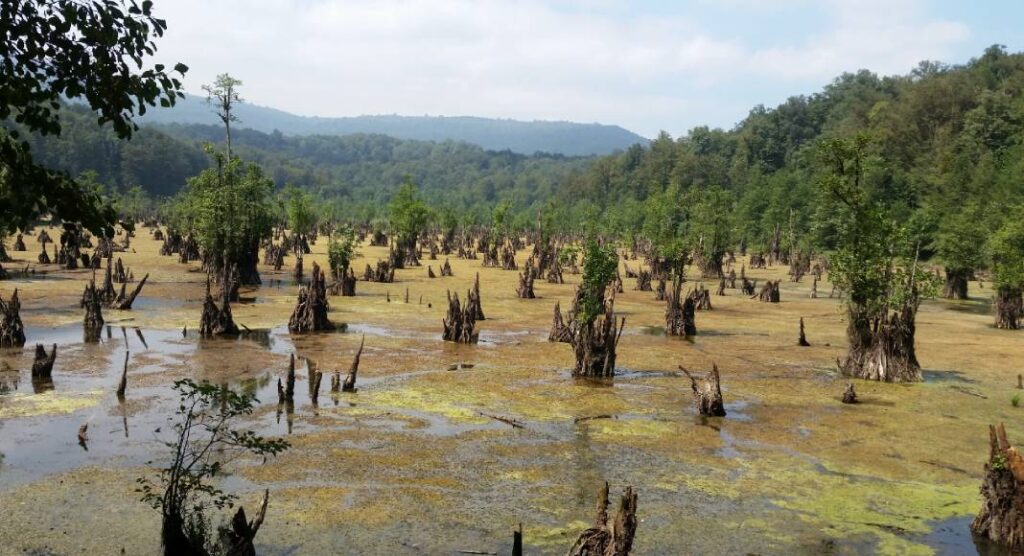 دریاچه ارواح نوشهر