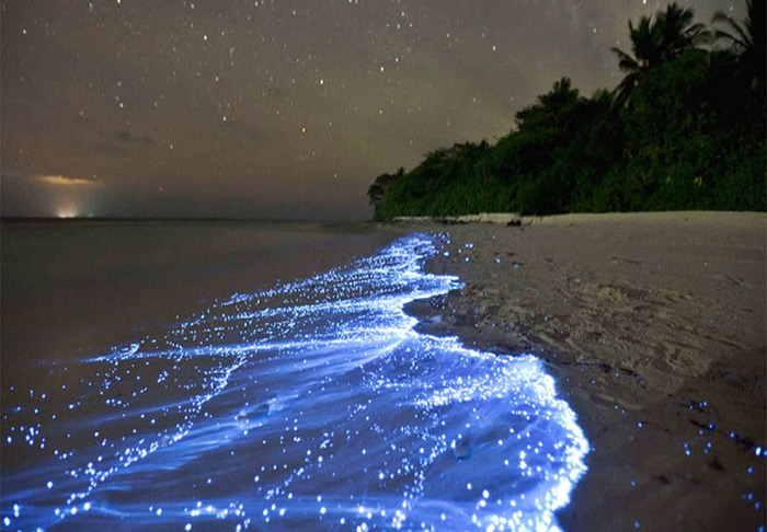 ساحل نقره ای جزیره هرمز قشم