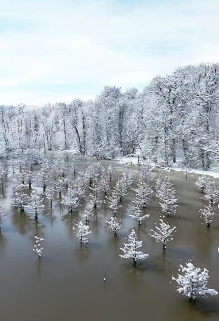 دریاچه الندان ساری در زمستان