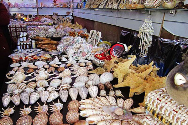 ساحل لاک پشت های هرمز