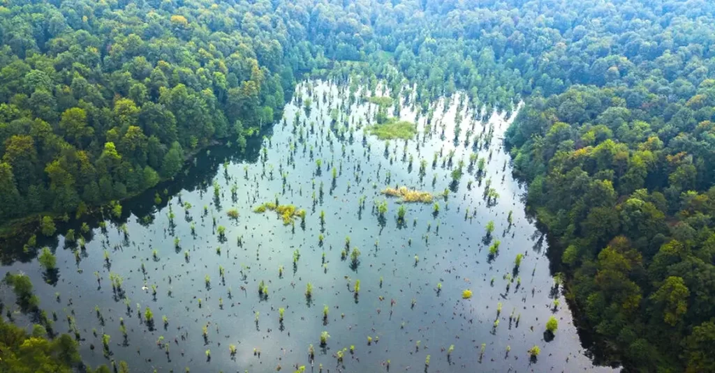 دریاچه ارواح نوشهر