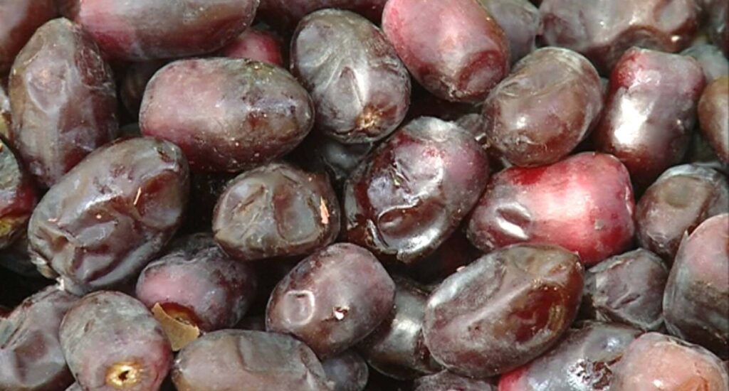 خرمای ایران