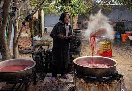 جشنواره ملی انار خورش رستم خلخال