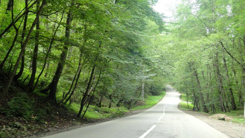 مسیرهای دسترسی یه جنگل نور شمال