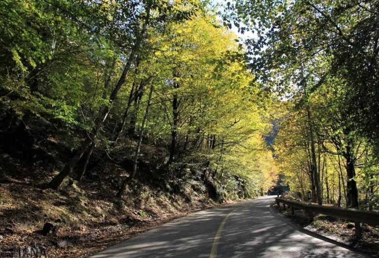 جنگل کلاردشت