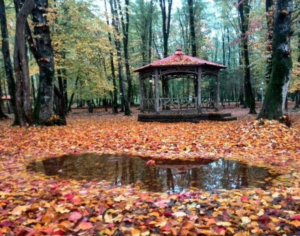 دریاچه گیسوم