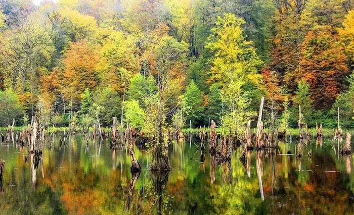 دریاچه ارواح نوشهر در پاییز