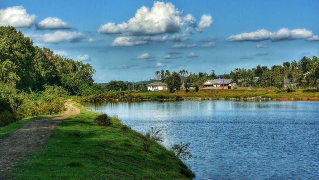 سرسره آبی سیاهکل