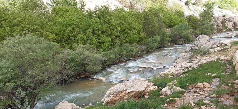 سرسره آبی دیلمان