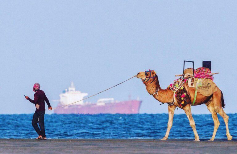 شتر سواری در دریای قشم