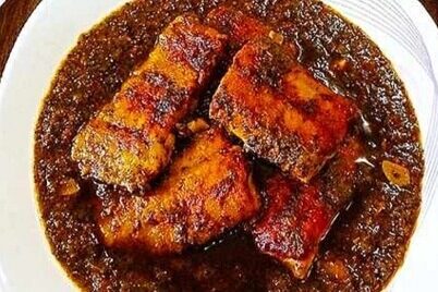 قلیه ماهی؛ شتر سواری در دریای قشم