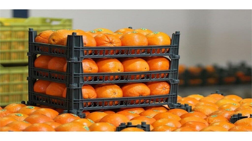 انولع مرکبات شمال