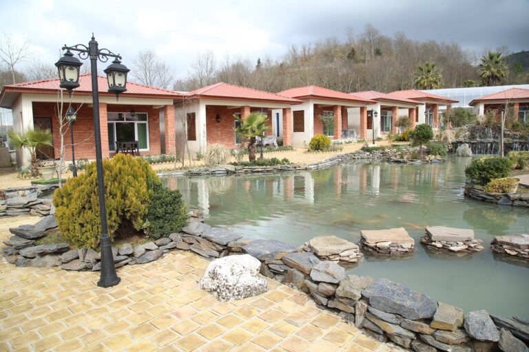 مزرعه قوهای لاهیجان