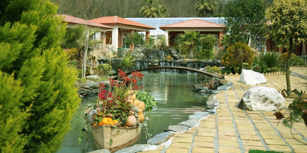 مزرعه قوهای لاهیجان
