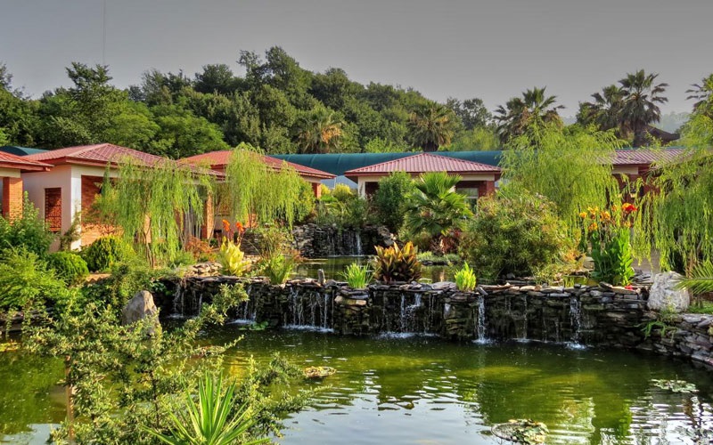 مسیر دسترسی مزرعه قو لاهیجان