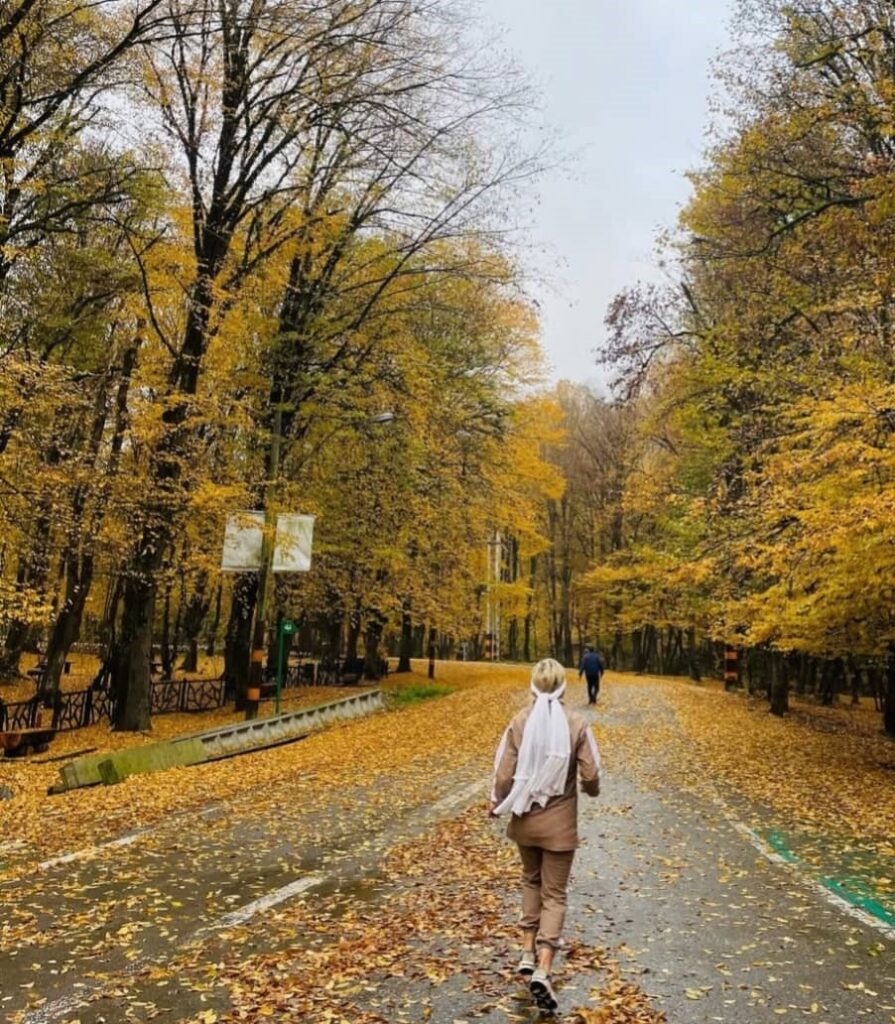 پارک جنگلی کبودوال 