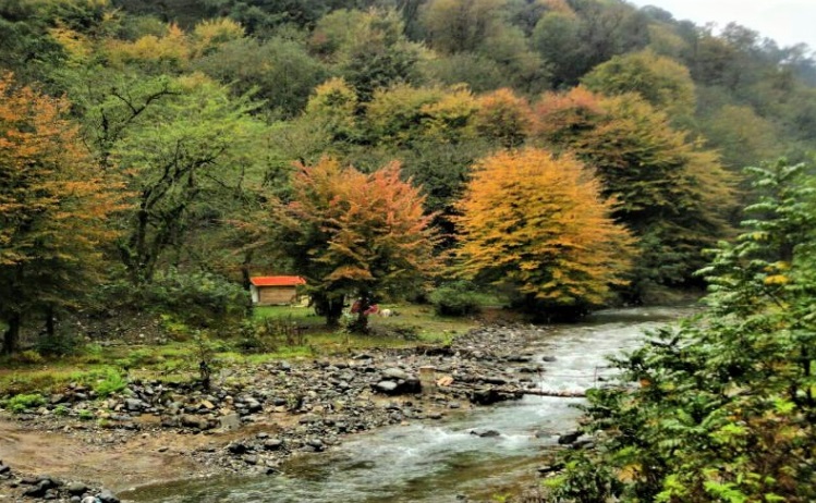 پارک خرمای گیلان