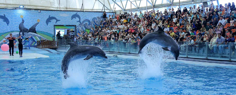 جشن های خیابانی کیش و آهنگ های جذاب جنوبی