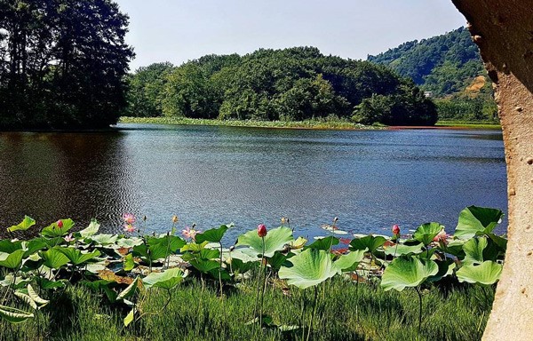  تالاب سوستان لاهیجان