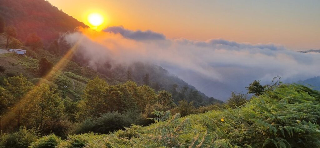 سوئه چاله ماسال