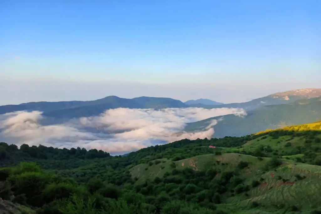  جنگل الیمستان آمل