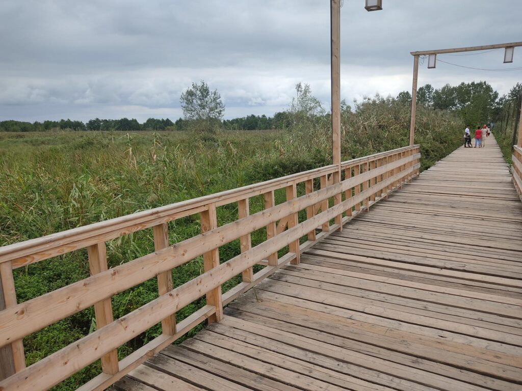  پل چوبی تالاب کیاشهر 