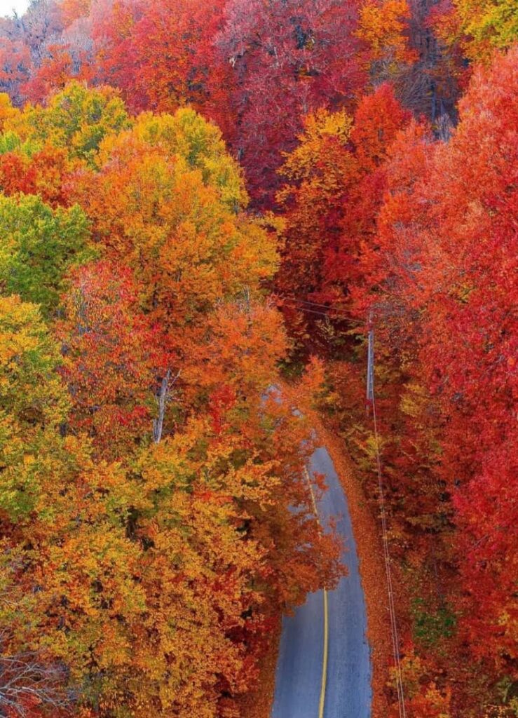 درازنو گلستان در فصل پاییز