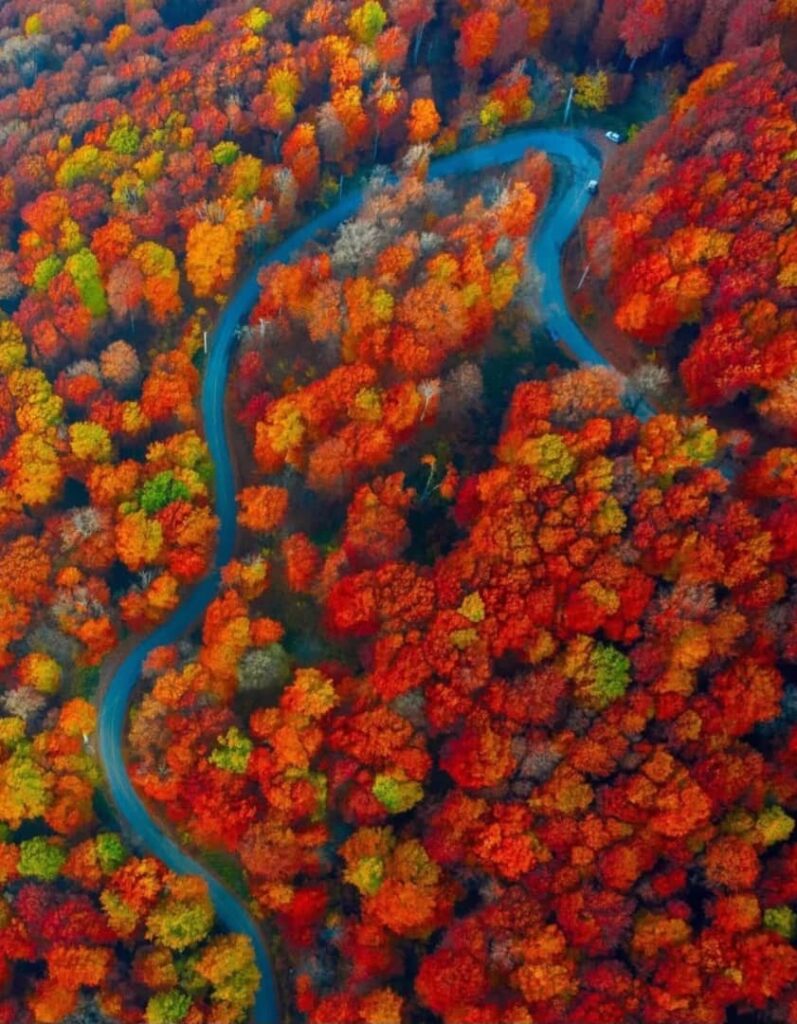 پاییز زیبای درازنو گلستان