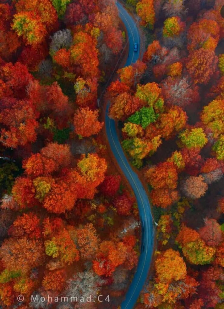 درازنو گلستان-پاییز زیبای گلستان