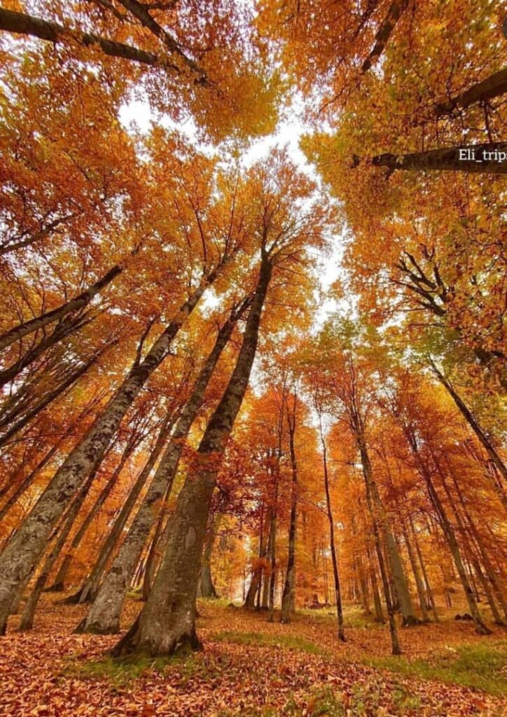 پاییز زیبای تالش-استان گیلان