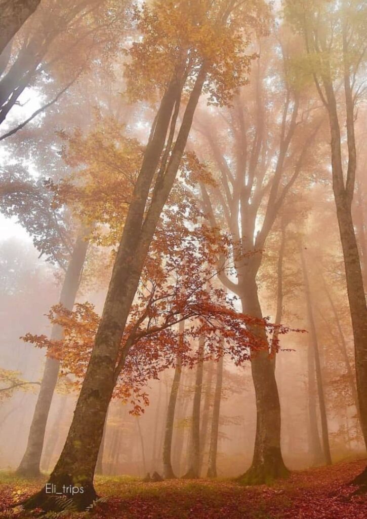 پاییز زیبای تالش