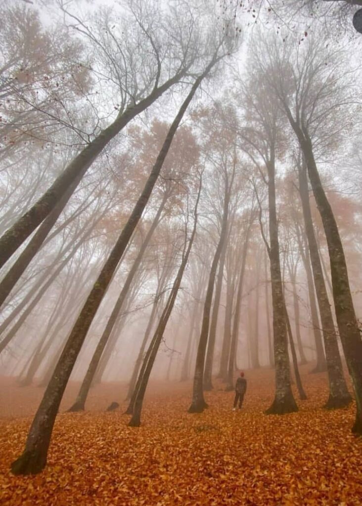 پاییز زیبای تالش در گیلان