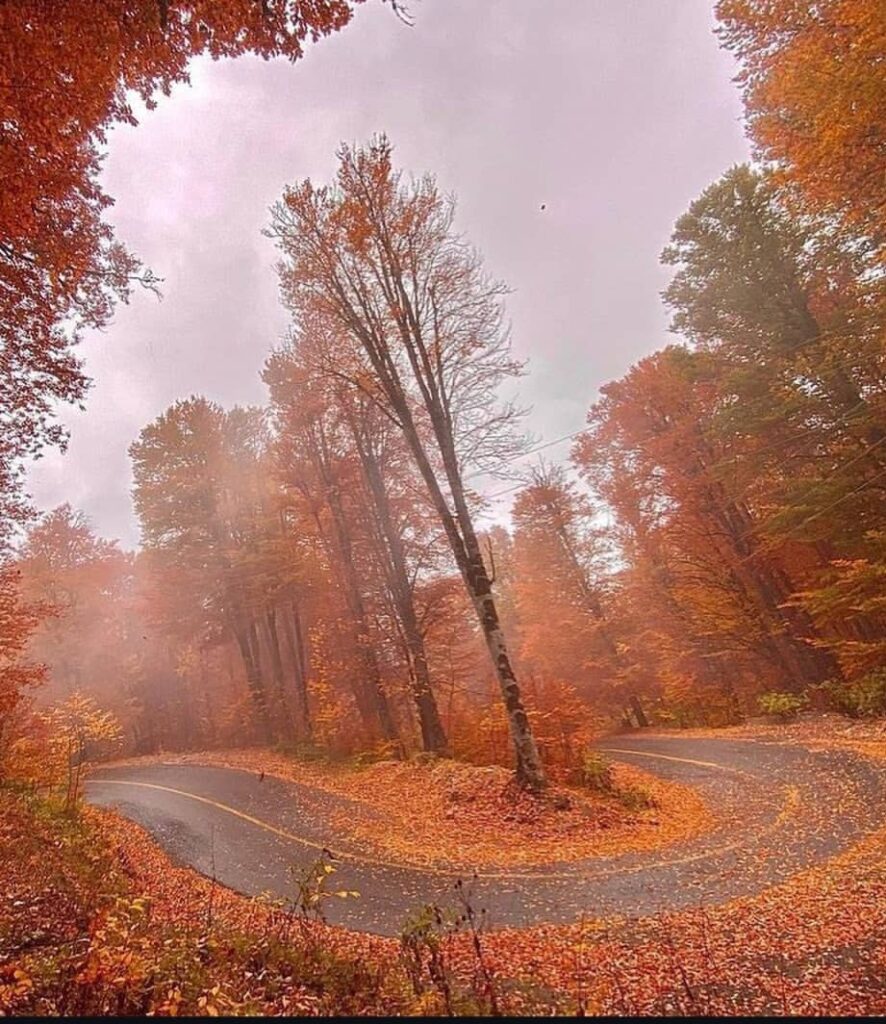 زیبایی درازنو گلستان
