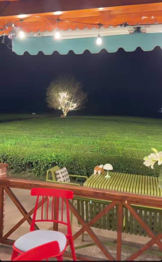 چایخانه تی باغ فومن