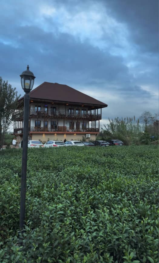 تی باغ فومن-گیلان