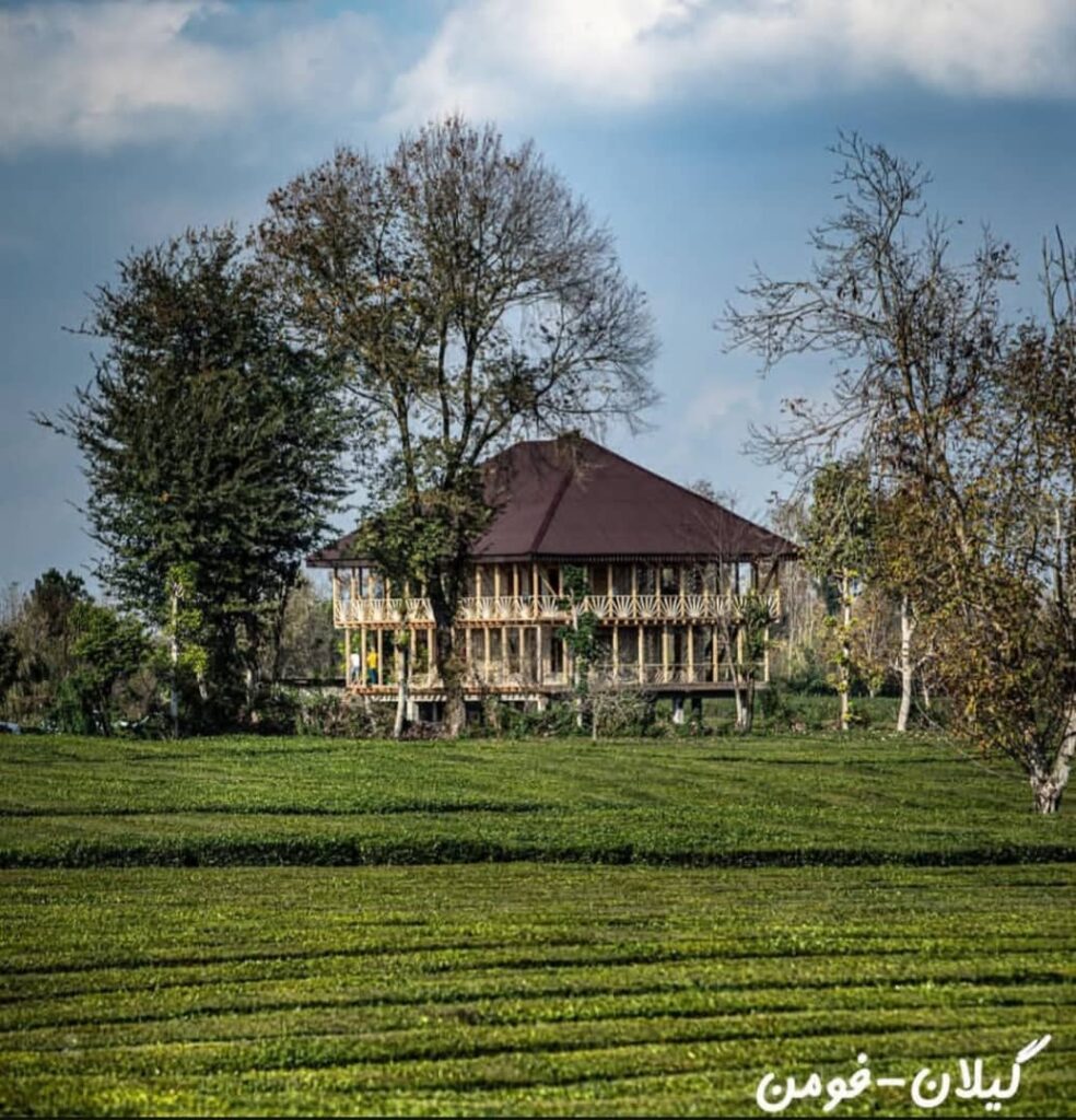 زیباترین باغ چای گیلان-تی باغ فومن