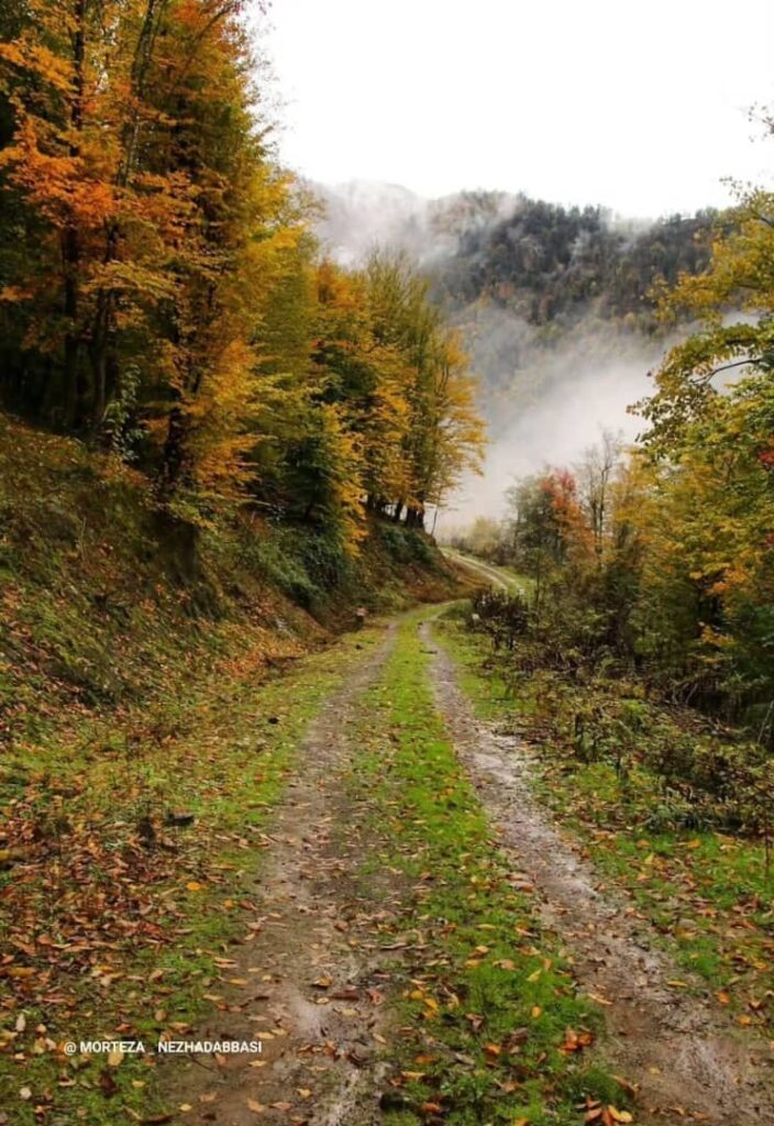 بلوردکان املش-گیلان