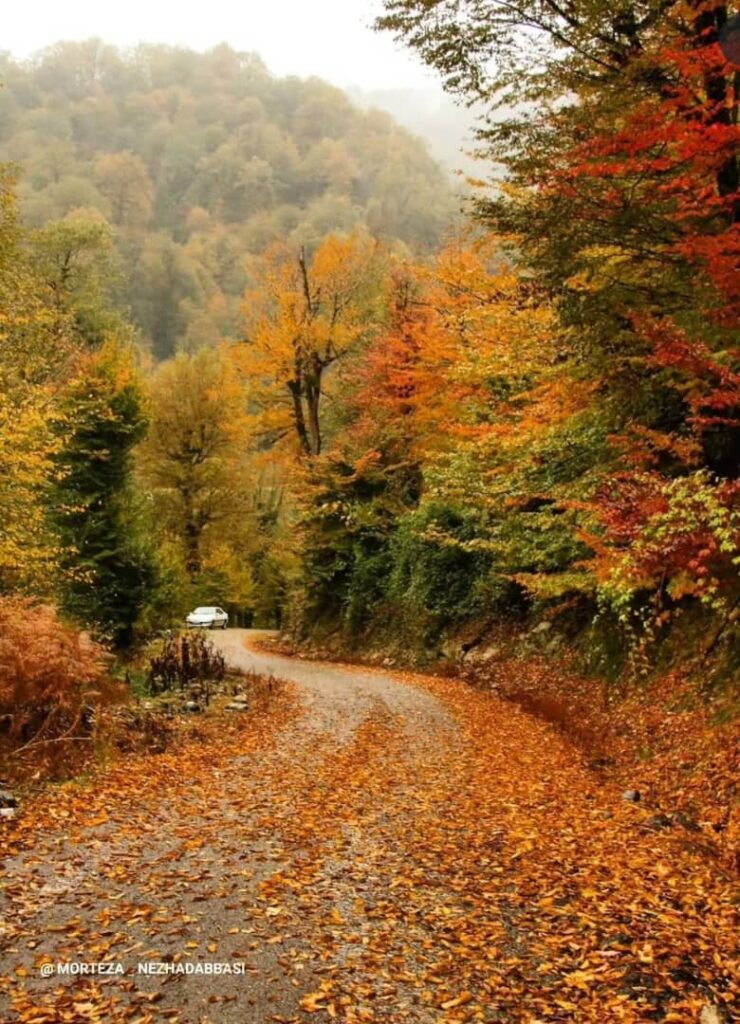 بلوردکان املش-گیلان