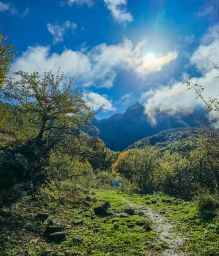 قله جنگلی گوگلی سواد کوه