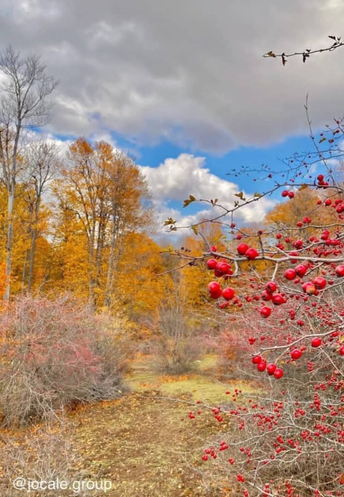 خرونرو-سفر به خرونرو مازندران