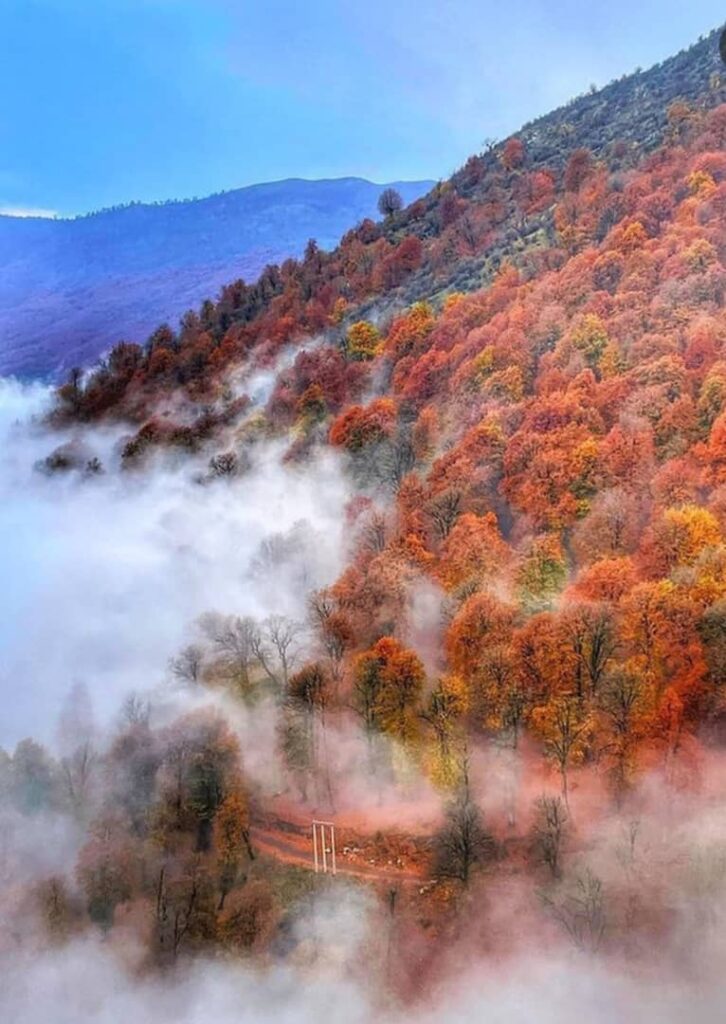 جنگل پاییزی نسوم فشکور چالوس-مازندران