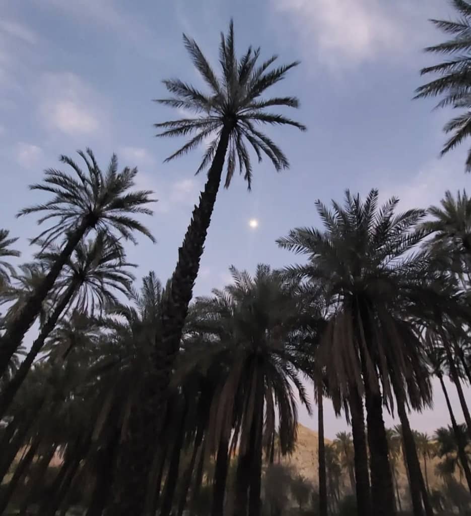 جنوب کجا بریم؟جاهای دیدنی جنوب