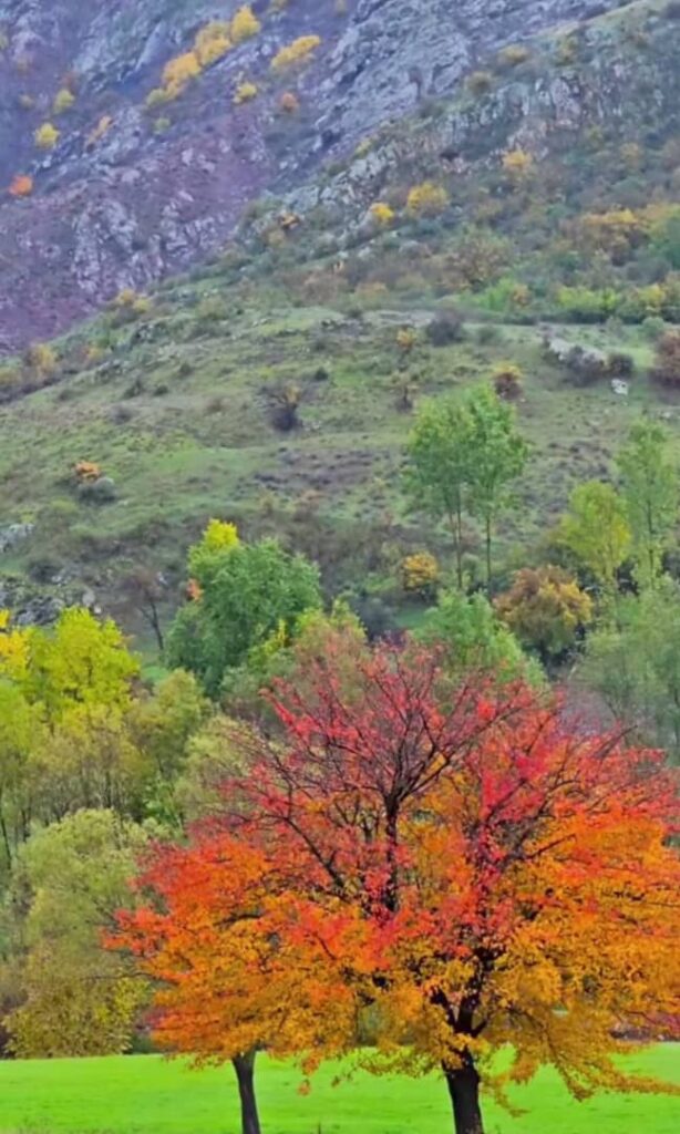 پاییز دیلمان سیاهکل