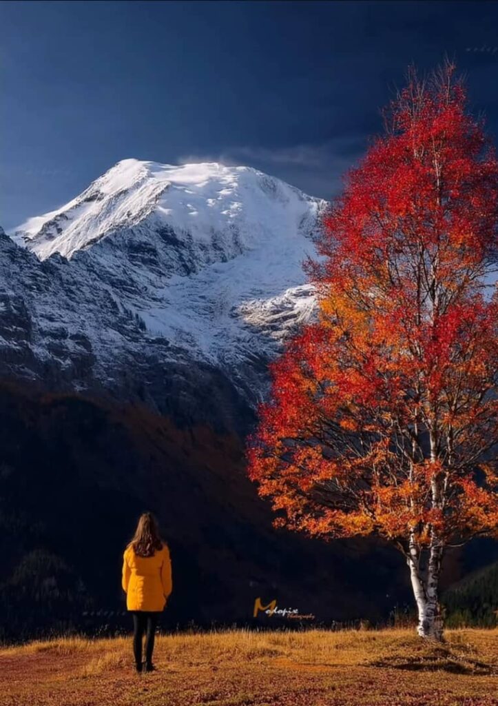 پاییز دیلمان سیاهکل