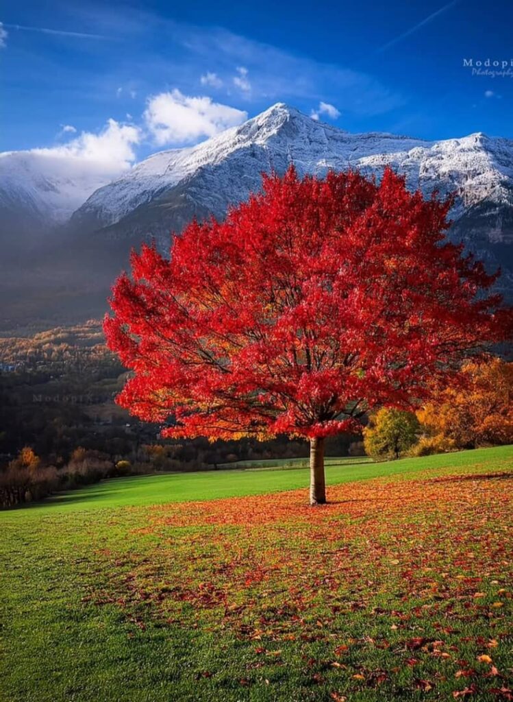 پاییز دیلمان سیاهکل