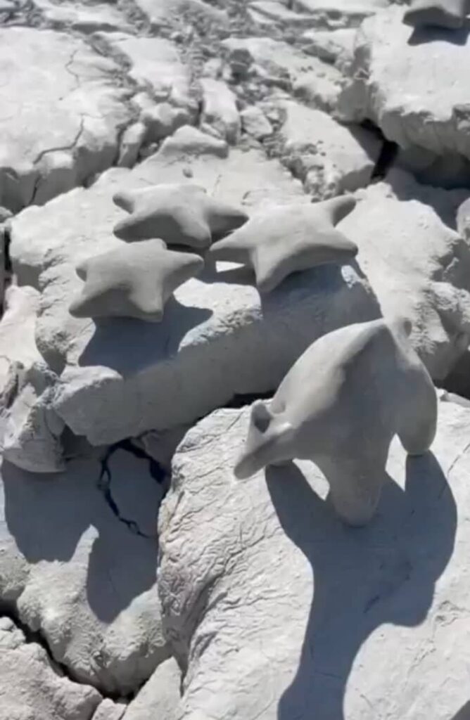 تپه گل فشان بلبلوک-چابهار