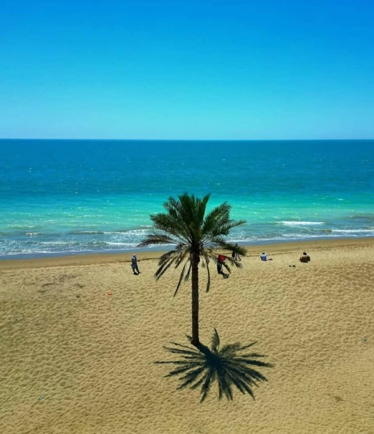 جنوب کجا بریم؟جاهای دیدنی جنوب