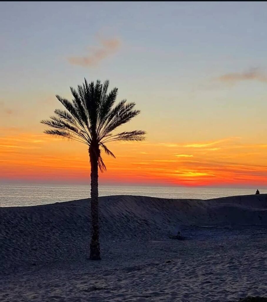 ساحل درک-چابهار